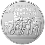 Sumatra Elefant 2022 - Australia Zoo - 1oz Silber *