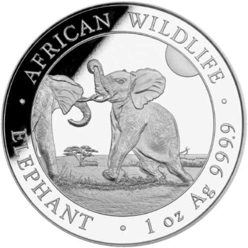 Somalia Elefant 2024  - 1oz Silber
